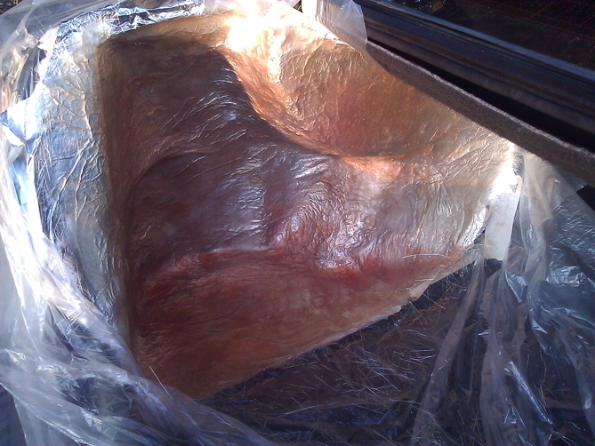 Image for Acura TL 10W7 glassed